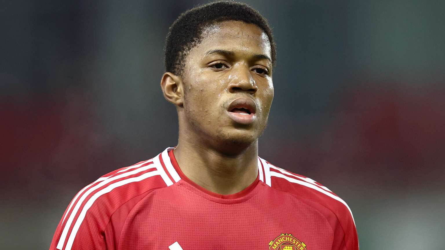 这样良好的 这样良好的